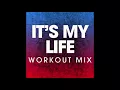 Download Lagu It's My Life (Workout Remix)