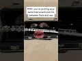 Flute never wins