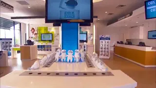Cox Solution