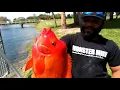 Suggest in Desc DUCK TAPE Fish TRAP DIY Catches Colorful Fish
