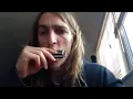 HOW TO PLAY LITTLE WALTER'S JUKE WILL WILDE HARMONICA