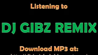 dj gibz gabay remix djcj mix hub 2 