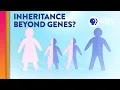 Is Epigenetic Inheritance Real