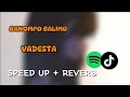 Lagu VADESTA - Ra Nompo Balimu ( speed up + reverb ) viral di tiktok dan Spotify