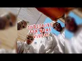 Stormy - Moulaga ( lyrics الكلمات )