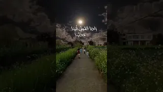 ذكرينا يا بقايا الأمس فينا 