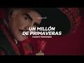 Vicente Fernández - Un Millón de Primaveras (Letra)