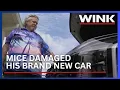 Retired SWFL man says mice damaged new SUV weeks after buying it