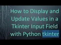 How to Display and Update Values in a Tkinter Input Field with Python tkinter