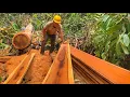 Download Lagu PENGOLAHAN KAYU MERBAU MENJADI PAPAN UNTUK KEBUTUHAN KONSTRUKSI DALAM DAERAH (LOKAL)