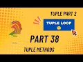 All Tuple Methods with Examples Python Programming LearnByparam