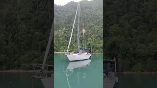 welcome to my Paradise #shorts #sailing #travel