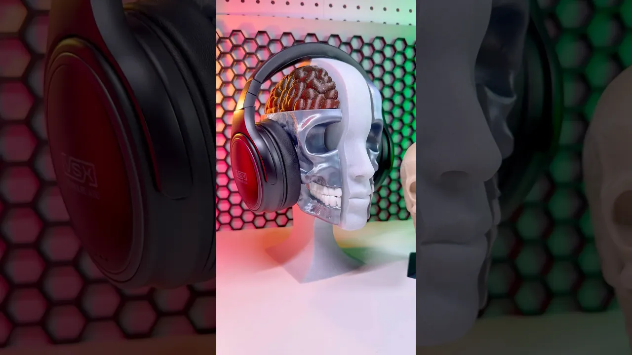 Anatomy video thumbnail