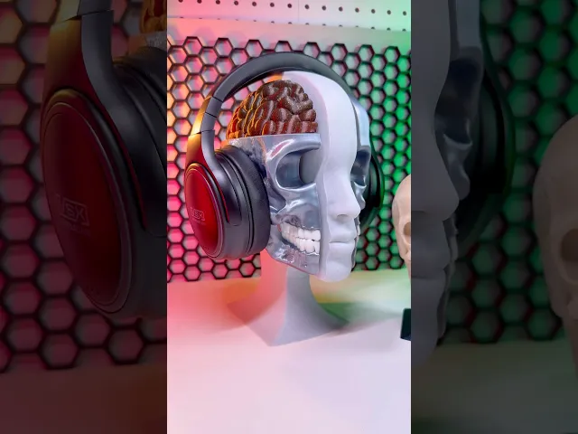 Anatomy video thumbnail