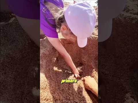 ¡Encontró algo mágico enterrado en la arena!😱