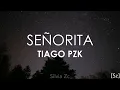 Tiago PZK - Señorita (Letra)