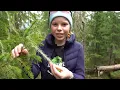 Download Lagu Huldrefortellinger: Thilda finner huldra sitt hår!