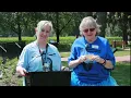 Summer Reading 2025 Week 7 Raffle Drawing