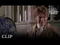 Cornish Pixies Harry Potter and the Chamber of Secrets