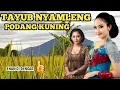 TAYUB NYAMLENG, PODANG KUNING ENAK DI DENGAR👍