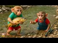 Download Lagu Monkey YiYi runs away from home devastated because YinYin steals the big fish she caught