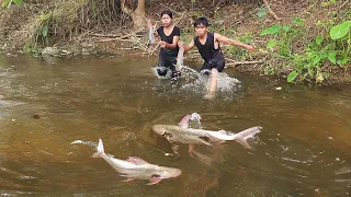 Life in jungle, Catch and cook big fish for food of survival, Fish hot spicy cooking for dinner