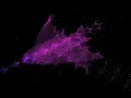 C Gravity Simulation Version 2 using SDL2 and SDL2 gfx Source code in description