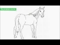 Top 25 Free Printable Horse Coloring Pages