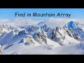 Find in Mountain Array - LeetCode 1095