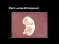 AP1 Online Chapter 5 Histology Part 2