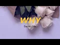 Dominic Fike - Why (lyrics)