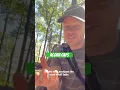Download Lagu The acorns are staring to fall, so I’m reposting this video about acorn caps! #tree #trees #shorts