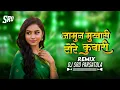 Lagu जामुन मुखारी टोरे कुवारी !! DJ MANDLA MIX !! DJ SRD Parsatola !! Dj Remix 2025 !! Dj Cg Song