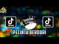 Download Lagu DJ PECINTA BERDURI MIX LAGU TERBARU ARIEF