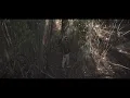 COSMIC - FIJIBI Clip (Un Clipped)