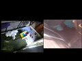CampTLCGoldens PuppyCam Millie pups born June 17th 2026