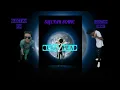 Selectah sonic X selectah fin Quick Head 2