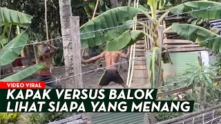 WARGA KOMPAK MENJEBAK PERAMPOK‼️PREMAN KALAH DUEL‼️BEGINI TAMPANG PARA PELAKU ☠️🔥💀💥😂