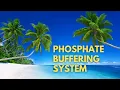 Phosphate Buffering System