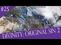 Slane The Winter Dragon Let s Play Divinity Original Sin II Part 25