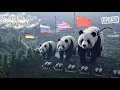 Giant Panda Population Comparison by Country 2025