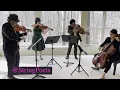 Royals - Lorde - String Poets Quartet cover