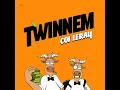 TWINNEM