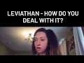LEVIATHAN - How Do You Deal With It?