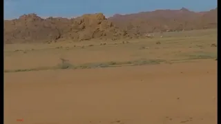  الهاف روح دندنها