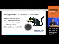 Visualizing high-dimensional biological data with Clustergrammer-Widget in the Jupyter Notebook