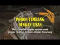 Download Lagu MULUTMU HARIMAUMU? | JANGAN JADIKAN UCAPANMU SEBAGAI BUMERANG DALAM DIRIMU