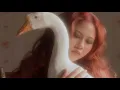 Download Lagu Nadin Amizah - Semua Aku Dirayakan [1 hour loop]