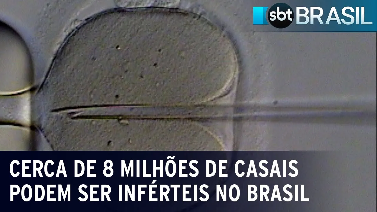 Taxa de fertilidade cai e brasileiros precisam de tratamento para engravidar | SBT Brasil (03/08/23)