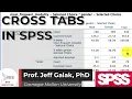 Cross Tabs with SPSS Tutorial SPSS Tutorial
